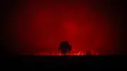 Gironde : feu stabilisé mais imprévisible, un pompier mort, 42 000 ha brûlés