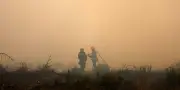 Gironde : le feu redevient « extrêmement virulent » selon Nuñez