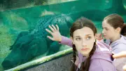 Greffe nerveuse pour un enfant de 3 ans jeté dans une fosse aux crocodiles