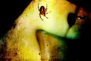 Guide de survie pour ceux qui hurlent devant araignées et punaises