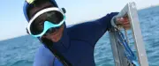 Handisub à Sète : la plongée sous-marine accessible aux personnes handicapées