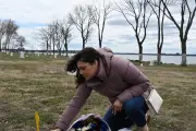 Hart Island : le cimetière des anonymes de New York depuis 1869