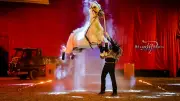 Hasta Luego présente Zorya, son nouveau spectacle équestre estival