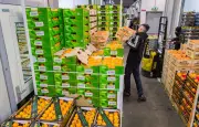 Hausse du prix des légumes : +10% en un an selon Familles rurales