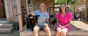 Hébergements dog friendly : une tendance qui s'installe dans les Cévennes
