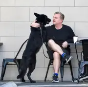 Heureux qui comme Nolan a fait un bel Odyssée grâce à son chien
