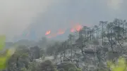 Hérault : 320 hectares brûlés, sept Canadair mobilisés à Carlencas