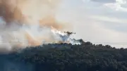 Hérault : trois massifs forestiers en alerte rouge incendie ce vendredi