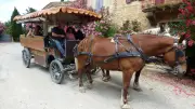 IME d'Orange : des enfants handicapés apprennent l'attelage