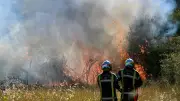 Incendie agricole à Balaguier-sur-Rance : 2 hectares de récoltes détruits