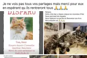 Incendie aux Arcs : la mairie aide les sinistrés pour animaux, assurances et nettoyage