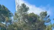 Incendie aux Ramias : intervention héliportée décisive à Caveirac