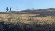 Incendie à Bessan : 15 hectares brûlés, pompiers grecs en renfort