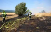 Incendie dans le Val-d'Oise : un cortège de mariage ravage 12 hectares de chaume