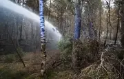 Incendie dans le Var : 180 hectares brûlés, évacuations massives