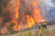 Incendie dans le Var : 200 hectares brûlés, maisons touchées, feu non fixé