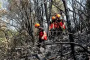Incendie dans le Var : le feu de Pontevès fixé, 870 pompiers toujours mobilisés