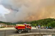 Incendie dans le Var : une quarantaine de chiens évacués grâce à la solidarité de deux cliniques vétérinaires