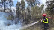 Incendie dans les Landes : 7 hectares de pins détruits, un pompier blessé