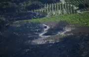 Incendie dans les Pyrénées-Orientales : un feu extrême de 5 000 hectares