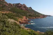 Incendie dans l'Estérel à Saint-Raphaël, un feu de forêt en cours