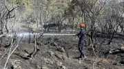 Incendie dans l'Hérault : 271 hectares brûlés, la maire raconte sa peur