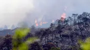 Incendie dans l'Hérault : 350 pompiers luttent avant le renforcement du vent