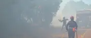 Incendie dans l'Hérault : 350 pompiers mobilisés, 100 largages aériens
