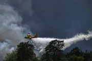 Incendie de Fontainebleau : la moitié du Vaudoué évacuée, le maire témoigne