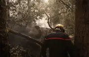 Incendie de Fontainebleau : un pompier volontaire de 18 ans mis en examen