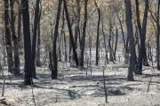 Incendie de Pontevès : 2700 hectares, 11 comparaisons choc