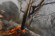 Incendie de Pontevès : 8 jours, 4750 hectares, 5000 évacués
