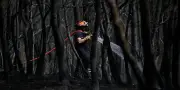 Incendie du Gros Bessillon fixé : pompiers épuisés après huit jours