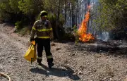Incendie en Andalousie : au moins 12 morts près d'Almeria