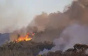 Incendie en Espagne : 2 200 hectares brûlés en Catalogne