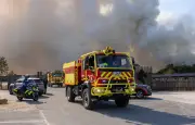 Incendie en forêt de Fontainebleau : 1 900 hectares brûlés, deux suspects interpellés