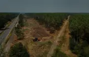 Incendie en Gironde : l'armée et les communes creusent des pare-feu de 100 mètres