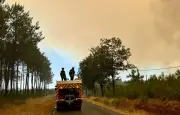 Incendie en Gironde : le feu progresse vers Lège-Cap-Ferret, 8 800 nouvelles évacuations