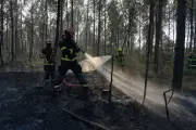 Incendie en Gironde stabilisé, reprise de feu maîtrisée à Fontainebleau
