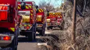 Incendie en Lozère : 40 pompiers du Gard en renfort, plus de 100 hectares brûlés