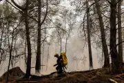 Incendie à Fontainebleau : 1 900 hectares brûlés, 850 pompiers mobilisés