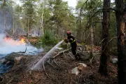 Incendie à Fontainebleau : 2000 hectares brûlés, plus de 800 pompiers mobilisés