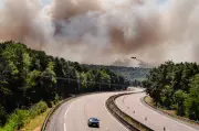 Incendie à Fontainebleau : des décennies pour la reconstruction
