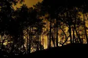 Incendie à Fontainebleau, frappes iraniennes, attentat déjoué : l'actu du 13 juillet