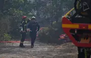 Incendie à Fontainebleau : origine volontaire suspectée, 800 hectares brûlés