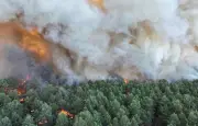 Incendie à Fontainebleau : plus de 800 hectares brûlés, le feu non fixé
