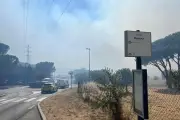 Incendie à Fréjus : feu d'espace naturel mobilise d'importants moyens
