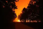 Incendie historique en Gironde : 42 000 hectares brûlés, 220 000 personnes évacuées