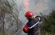 Incendie meurtrier dans un orphelinat près d'Alger : 11 morts