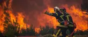 Incendie à Murviel-lès-Montpellier : 52 hectares ravagés, 400 pompiers mobilisés